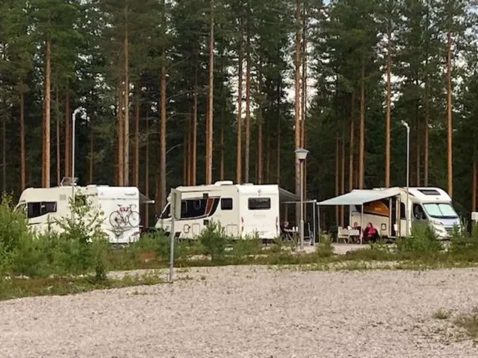 3 caravan cars next to pine forest in summer.
